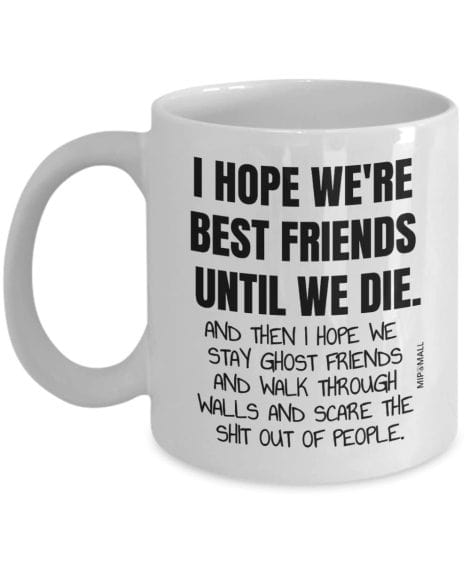 MIPOMALL Mug for Best Friends – Hilarious Friendship Gift for Christmas, Birthdays, or Mothers’ Day.