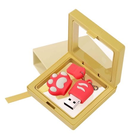 AdrreyuFny 64GB USB Stick, a portable and adorable cat paw-shaped memory stick with a stylish box design. Perfect for data storage and ideal as a gift for both men and women.