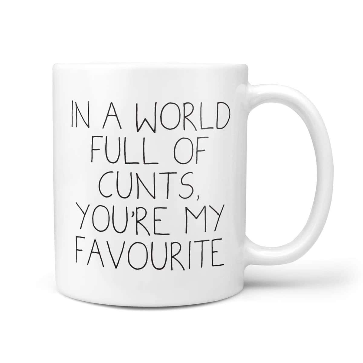 in A World Full of Cunts, You're My Favourite Mug - Profanity Mugs Insult Saying Friend Funny Gift Shut Up Birthday Office Secret Santa Profanity Rude ©TeheGifts