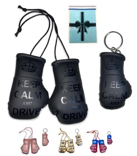 SPEED FROG Stay Composed Car accessories for gentlemen’s interior, driving gifts, hanging Mirror Mini Boxing Gloves & Keyring Gift SET, novelty decorations for recent driving test success or new car (Black)