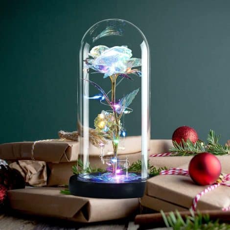 Hobyhoon Birthday Gifts for Her, Timeless Artificial Roses Wedding Anniversary Valentines Gift for Her Nan Birthday. Sparkling Galaxy Flower Lights in Glass Dome for Christmas.