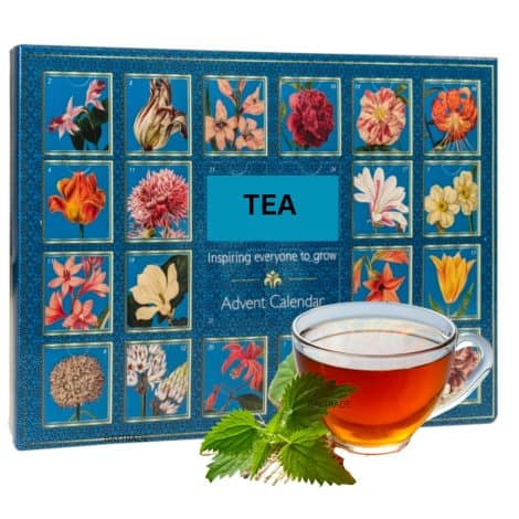 2023 Tea Advent Calendar – 24 Days of Christmas Tea Bags – Adult Christmas Calendar for Tea Lovers.