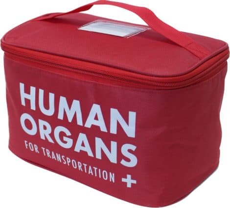 DP1293 Sinister Human Organs Insulated Lunch Bag for Gents – Witty Office Presents, Packed Lunch Bag