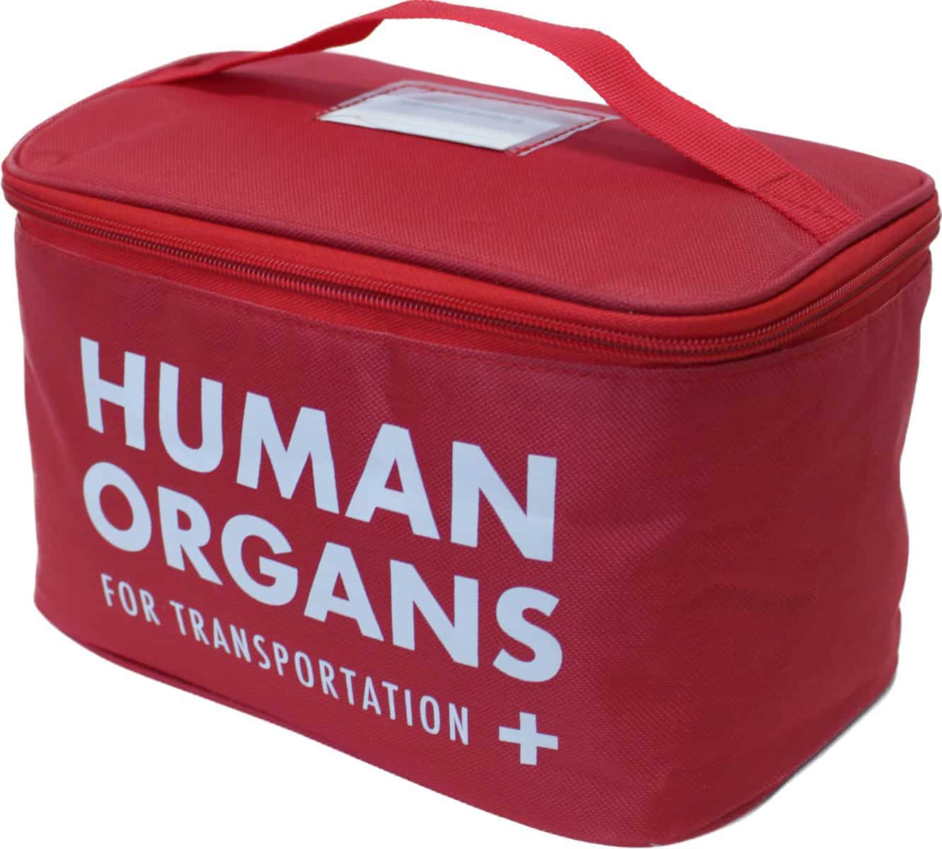 Diabolical DP1293 Human Organs Insulated Lunch Bag for Men - Secret Santa Gifts for Men, Funny Office Gifts, Packed Lunch Bag, Secret Santa Gifts for Work Colleagues, Office Accessories for Men