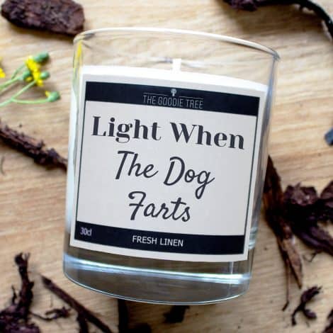 Dog’s Flatulence Scented Candle with Free Delivery in the UK, Humorous Gift, Suitable for Birthdays, Parents, and Friends.